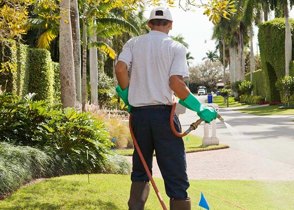 About Saint Johns FL Pest Control Pros